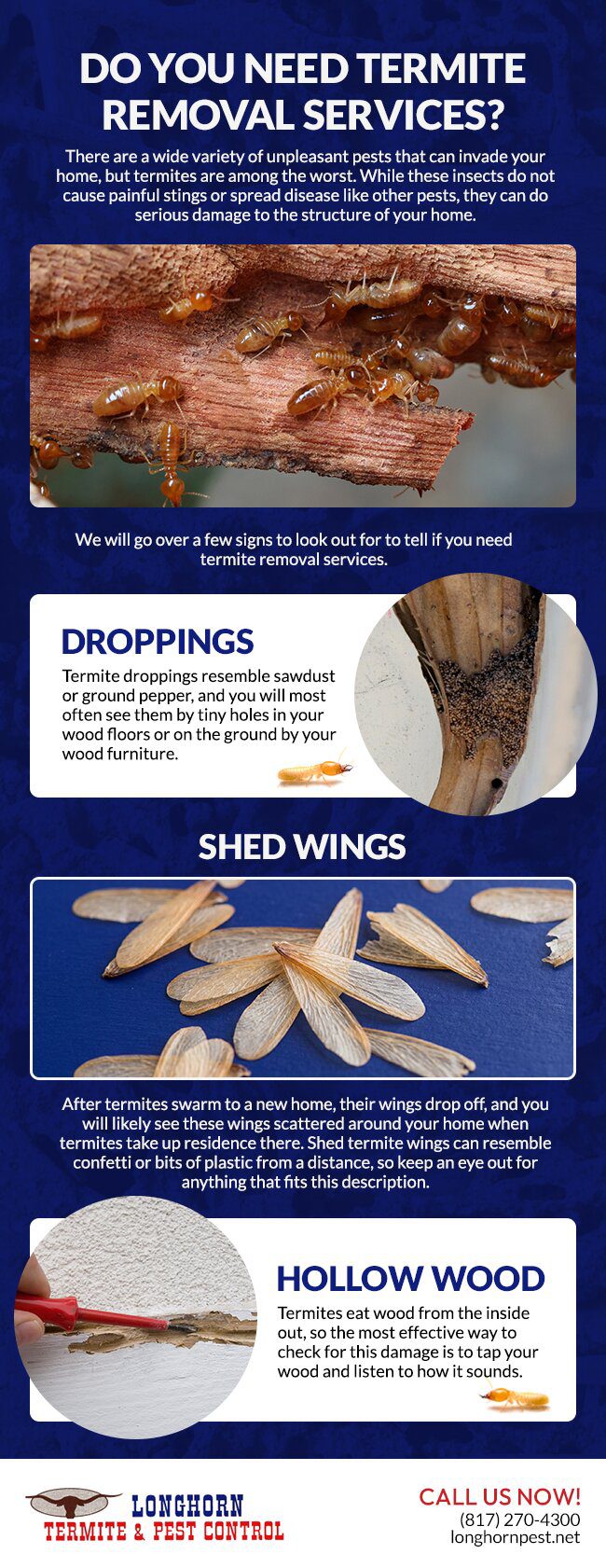 Do You Need Termite Removal Services?